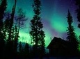 3 Days Tour Fall Color in Yukon from Whitehorse