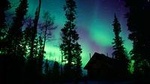 3 Days Tour Fall Color in Yukon from Whitehorse