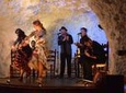 1 Hour Flamenco Show in a Cave-Restaurant in Granada