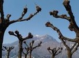 Food and Wine tour on Como Lake - small group tour