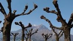 Food and Wine tour on Como Lake - small group tour