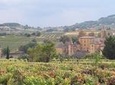 Full Day Beaujolais Private Tour