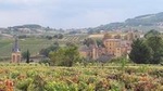 Full Day Beaujolais Private Tour