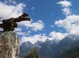 Full-Day Private Trip: Marvelous Gorge Sightseeing and Photo-Taking From Lijiang