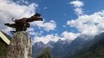 Full-Day Private Trip: Marvelous Gorge Sightseeing and Photo-Taking From Lijiang