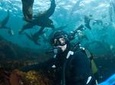 Snorkeling with Seals and Cape Peninsula Full-Day Private Tour