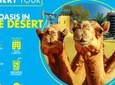 Half-Day Desert Tour