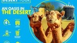 Half-Day Desert Tour