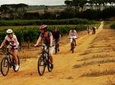 Franschhoek Half Day Winelands Cycle Tour