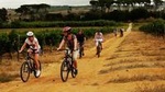 Franschhoek Half Day Winelands Cycle Tour