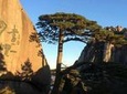 Mount Huangshan Highlights Group Tour -No Shopping