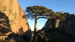 Mount Huangshan Highlights Group Tour -No Shopping