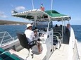 Sanity Snorkel Vessel Holds 30 Guests on Private Charters