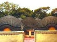 Lesedi Cultural Village and Lion Park Day Tour from Johannesburg