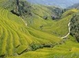 Longji Rice Terrace -- 1 Day Trip