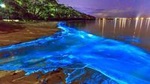 Luminous Lagoon Small Group Tour from Montego Bay