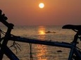 Mekong Delta Cycling Tour PhnomPenh to SaiGon 4 days