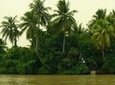 Mekong Delta Tours CanTho 2days - Boat cruise in natural waterways