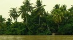 Mekong Delta Tours CanTho 2days - Boat cruise in natural waterways