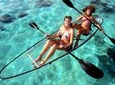 Moorea Lagoon Tour by Transparent Kayak