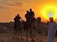 Morning Desert Safari:Dune Bashing Experience with Camel Ride from Sharjah