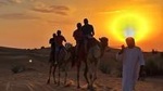 Morning Desert Safari:Dune Bashing Experience with Camel Ride from Sharjah