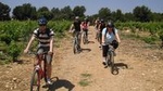 Mountain biking