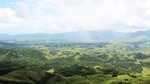 Nausori Highland Tour - Valley of a Thousand Hills