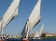 Nile Felucca Sailing and Kings Valley and Hatshebsoute Temple