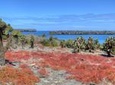 North Seymour Day Trip Galapagos: Snorkeling & Hiking Trip