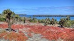 North Seymour Day Trip Galapagos: Snorkeling & Hiking Trip