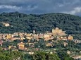Rome Frascati Wine Tour with Lunch and Wine Tastings