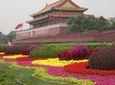 One Day Private Walking Tour of Beijing With Public Transportation and Complimentary Foot massage