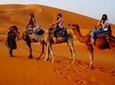 Merzouga Overnight Stay in a Berber Tent and Camel Ride