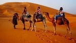 Merzouga Overnight Stay in a Berber Tent and Camel Ride
