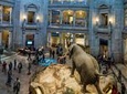 Smithsonian Natural History & National Gallery of Art Guided Tour - Private Tour