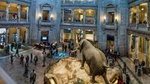 Smithsonian Natural History & National Gallery of Art Guided Tour - Private Tour