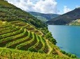 Douro Valley full-day private tour from Porto