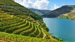 Douro Valley full-day private tour from Porto