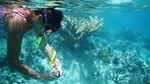 Private Tour: Batam Island Reef Snorkel and Kayak Day Trip from Singapore