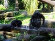 Private Tour: Singapore Nature Touch Tour