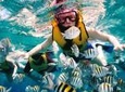 Private Tour: Tioman Island Reef Snorkel and Fireflies Day Trip from Singapore