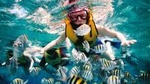 Private Tour: Tioman Island Reef Snorkel and Fireflies Day Trip from Singapore