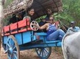 Sigiriya Village Tour from Negombo