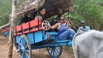 Sigiriya Village Tour from Negombo