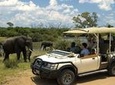 Safari Pass (Zimbabwe)