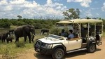 Safari Pass (Zimbabwe)