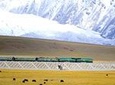 Small-Group 6-Night Lhasa to Everest Tour: Train from Xining