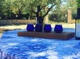 Total Olive Experience