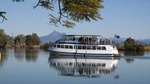 Tweed River and Rainforest Eco Cruise